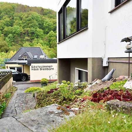 Hotel Gaestehaus Steinborn Heimbach Exteriér fotografie