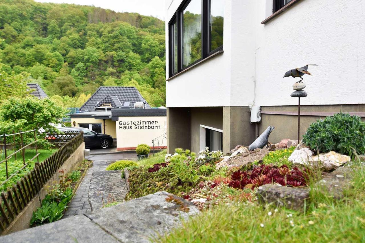 Hotel Gaestehaus Steinborn Heimbach Exteriér fotografie